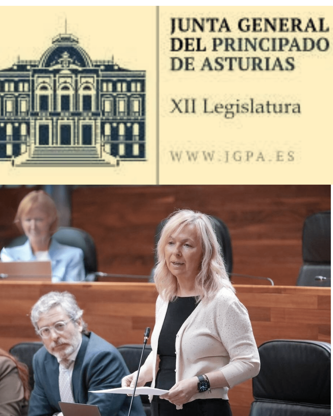 Sara álvarez Rouco Parlamento asturiano Sara Álvarez Rouco en el Parlamento de Asturias exigiendo soluciones en Derechos Sociales, con frase: “O resuelve el problema o hágase a un lado”.