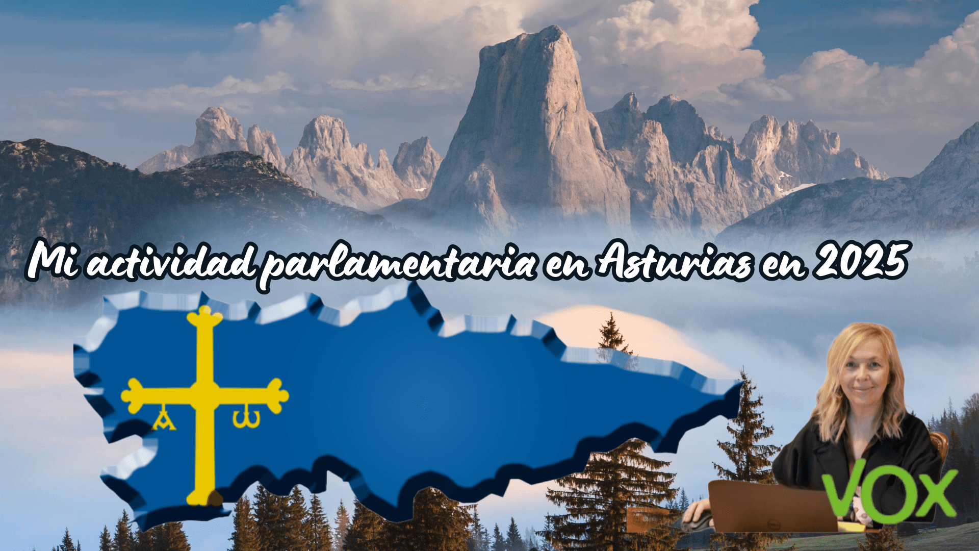 Mi actividad parlamentaria en Asturias en 2025